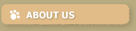 About Us Hover Button