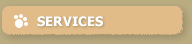 Services Hover Button