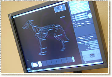 Digital Radiography